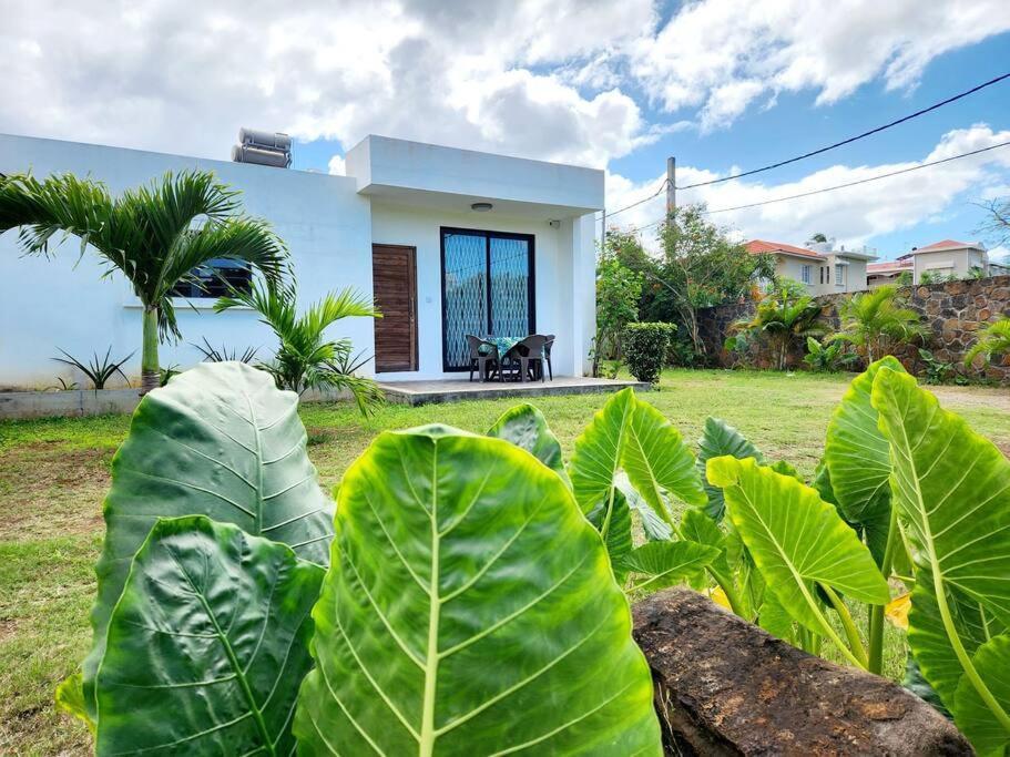 La Maison D'Isa Albion Εξωτερικό φωτογραφία